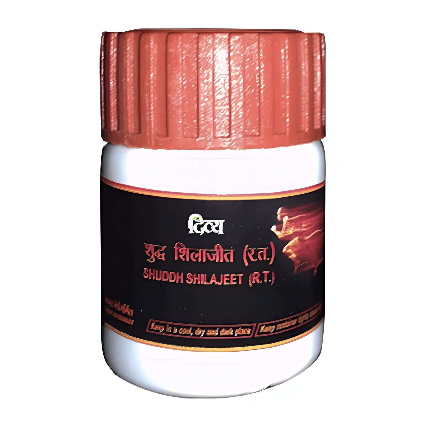 Patanjali Shuddh SJ -20 gm